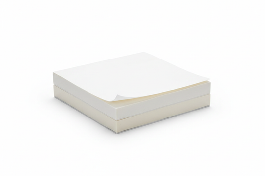 2 PACK OF WHITE BLANK POST ITS